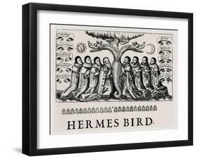 The Hermes Bird, from 'Theatrum Chemicum', 1652-null-Framed Giclee Print