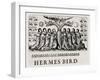 The Hermes Bird, from 'Theatrum Chemicum', 1652-null-Framed Giclee Print