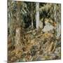 The Hermit (Il solitario), 1908-John Singer Sargent-Mounted Giclee Print