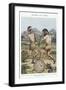 The Heroic Age in Greece': Combat of Ancient Greek Warriors-null-Framed Giclee Print