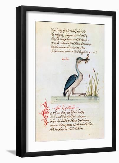 The Heron, 1564-null-Framed Giclee Print