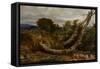 The Heron Disturbed, C.1850-Richard Redgrave-Framed Stretched Canvas