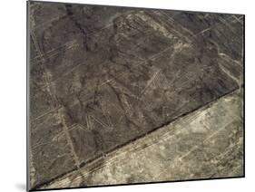 The Heron Geoglyph, aerial view, Nazca, UNESCO World Heritage Site, Ica Region, Peru, South America-Karol Kozlowski-Mounted Photographic Print