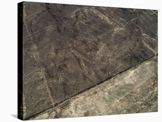 The Heron Geoglyph, aerial view, Nazca, UNESCO World Heritage Site, Ica Region, Peru, South America-Karol Kozlowski-Stretched Canvas