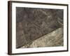 The Heron Geoglyph, aerial view, Nazca, UNESCO World Heritage Site, Ica Region, Peru, South America-Karol Kozlowski-Framed Photographic Print