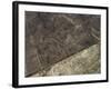 The Heron Geoglyph, aerial view, Nazca, UNESCO World Heritage Site, Ica Region, Peru, South America-Karol Kozlowski-Framed Photographic Print