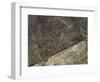 The Heron Geoglyph, aerial view, Nazca, UNESCO World Heritage Site, Ica Region, Peru, South America-Karol Kozlowski-Framed Photographic Print