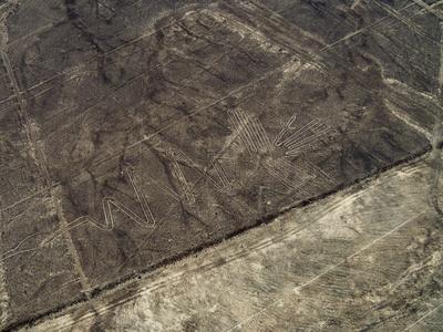 https://imgc.allpostersimages.com/img/posters/the-heron-geoglyph-aerial-view-nazca-unesco-world-heritage-site-ica-region-peru-south-america_u-L-Q1BTAVO0.jpg?artPerspective=n