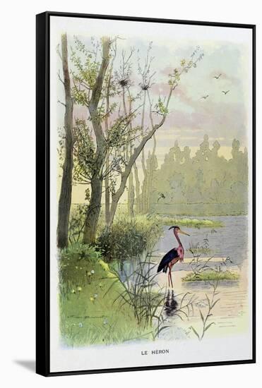 The Heron, La Fontaine's Fables-Firmin Bouisset-Framed Stretched Canvas