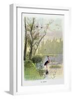 The Heron, La Fontaine's Fables-Firmin Bouisset-Framed Art Print