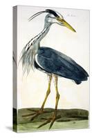 The Heron Plate from "The British Zoology Class II: Birds"-Peter Paillou-Stretched Canvas