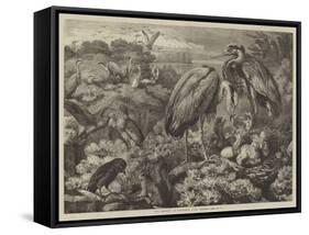 The Heronry at Didlington Park, Norfolk-Samuel John Carter-Framed Stretched Canvas