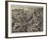 The Heronry at Didlington Park, Norfolk-Samuel John Carter-Framed Giclee Print