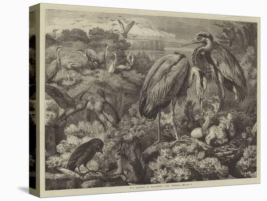 The Heronry at Didlington Park, Norfolk-Samuel John Carter-Stretched Canvas