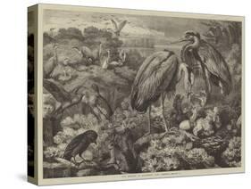 The Heronry at Didlington Park, Norfolk-Samuel John Carter-Stretched Canvas