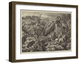 The Heronry at Didlington Park, Norfolk-Samuel John Carter-Framed Giclee Print