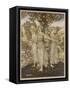 The Hesperides-Arthur Rackham-Framed Stretched Canvas