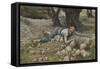 The Hidden Treasure from 'The Life of Our Lord Jesus Christ'-James Jacques Joseph Tissot-Framed Stretched Canvas