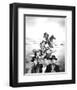 The High Chaparral-null-Framed Photo