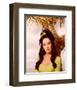 The High Chaparral-null-Framed Photo