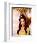 The High Chaparral-null-Framed Photo