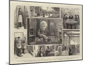 The Higher Education of Women, the Ladies' Colleges at Cambridge-null-Mounted Giclee Print