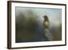 The Highest Point-Jai Johnson-Framed Giclee Print