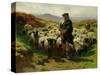 The Highland Shepherd, 1859-Rosa Bonheur-Stretched Canvas