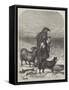 The Highland Shepherd-Richard Ansdell-Framed Stretched Canvas