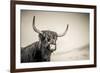 The Highlands 3-Mark Gemmell-Framed Photographic Print