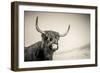 The Highlands 3-Mark Gemmell-Framed Photographic Print