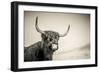 The Highlands 3-Mark Gemmell-Framed Photographic Print