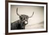 The Highlands 3-Mark Gemmell-Framed Photographic Print