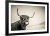 The Highlands 3-Mark Gemmell-Framed Photographic Print