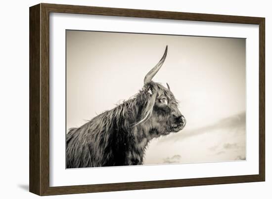 The Highlands 4-Mark Gemmell-Framed Photographic Print