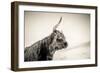 The Highlands 4-Mark Gemmell-Framed Photographic Print