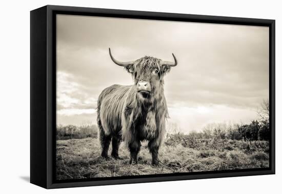 The Highlands-Mark Gemmell-Framed Stretched Canvas