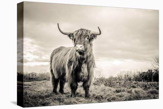 The Highlands-Mark Gemmell-Stretched Canvas