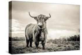 The Highlands-Mark Gemmell-Stretched Canvas