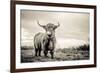 The Highlands-Mark Gemmell-Framed Photographic Print