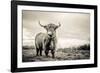 The Highlands-Mark Gemmell-Framed Photographic Print
