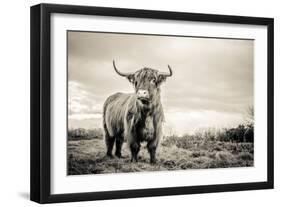 The Highlands-Mark Gemmell-Framed Photographic Print