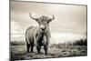 The Highlands-Mark Gemmell-Mounted Photographic Print