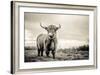 The Highlands-Mark Gemmell-Framed Photographic Print