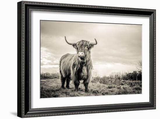 The Highlands-Mark Gemmell-Framed Photographic Print