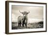 The Highlands-Mark Gemmell-Framed Premium Photographic Print