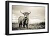 The Highlands-Mark Gemmell-Framed Premium Photographic Print