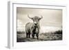 The Highlands-Mark Gemmell-Framed Premium Photographic Print