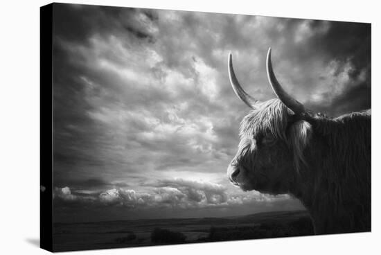 The Highlands-Holger Droste-Stretched Canvas