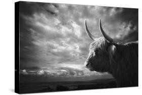 The Highlands-Holger Droste-Stretched Canvas